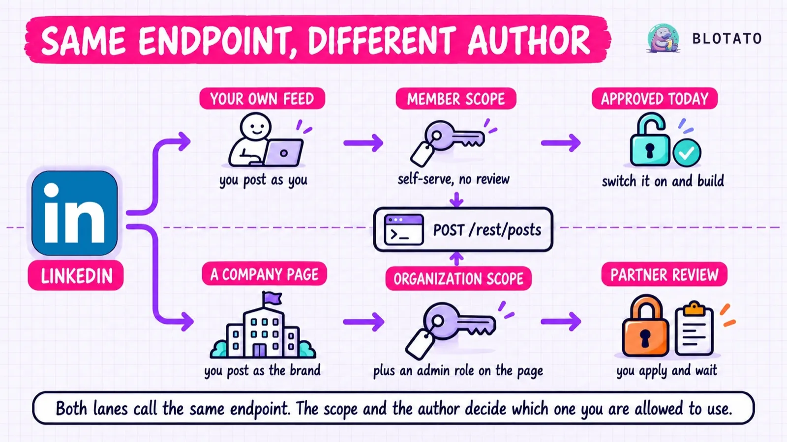 Both LinkedIn posting paths call the same POST /rest/posts endpoint, and the token scope plus the author URN decide which one you are allowed to use.
