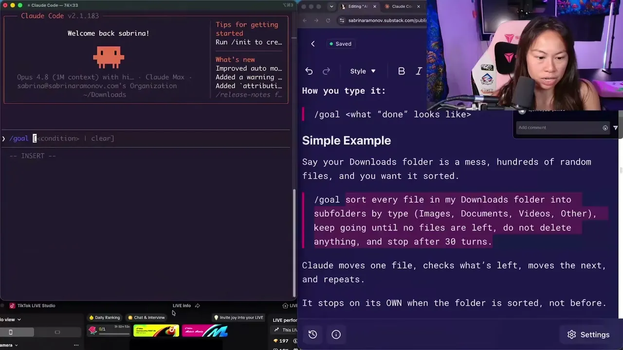 The Claude Code terminal showing the slash goal command alongside the written example: sort every file in my Downloads folder into subfolders by type, keep going until no files are left, do not delete anything, and stop after 30 turns.