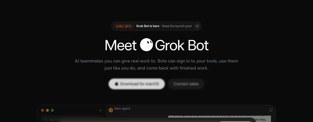 The Grok Bot product page at x.ai, with an early beta chip above the headline Meet Grok Bot.