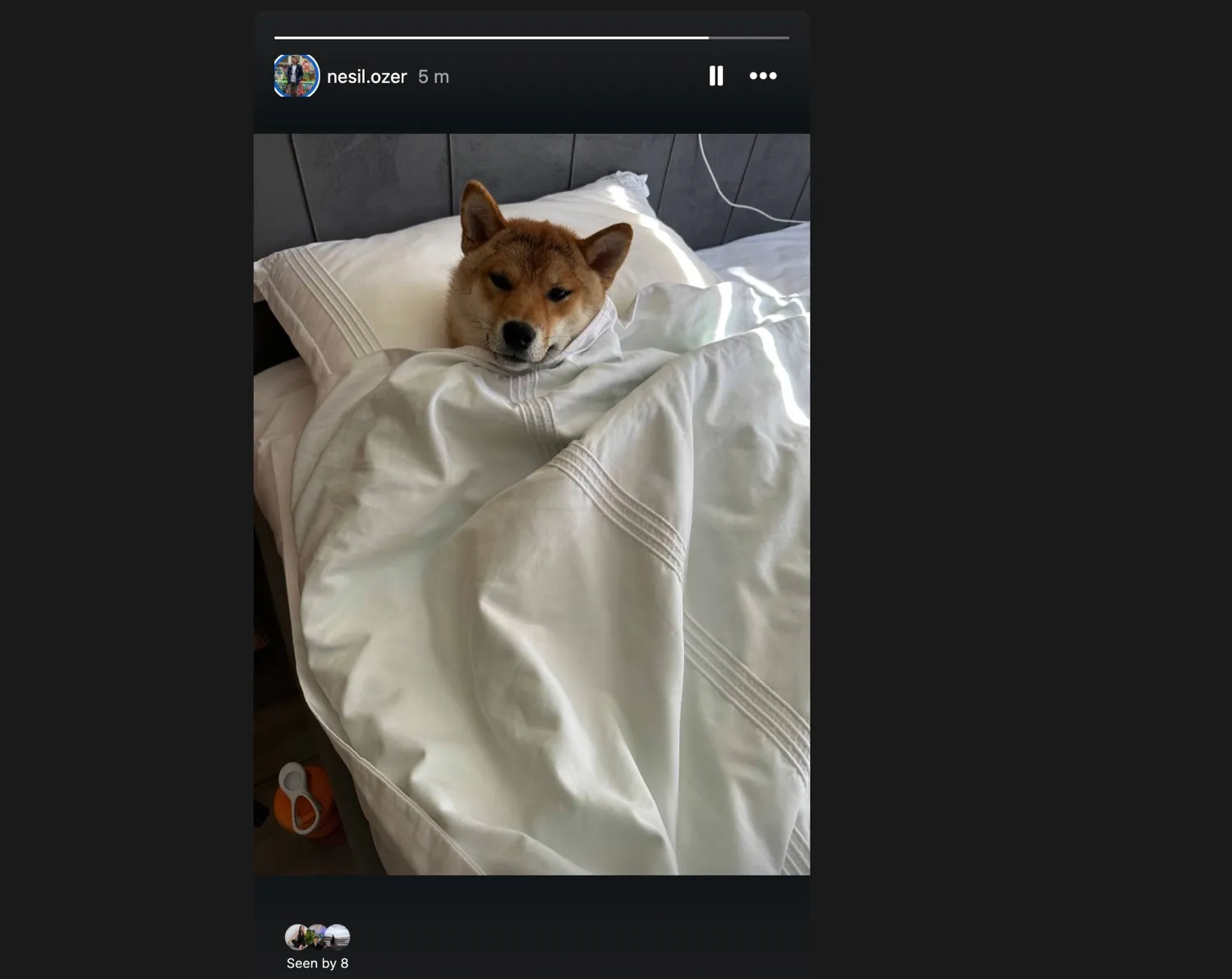 post to Instagram with Claude: the published Story live on Instagram