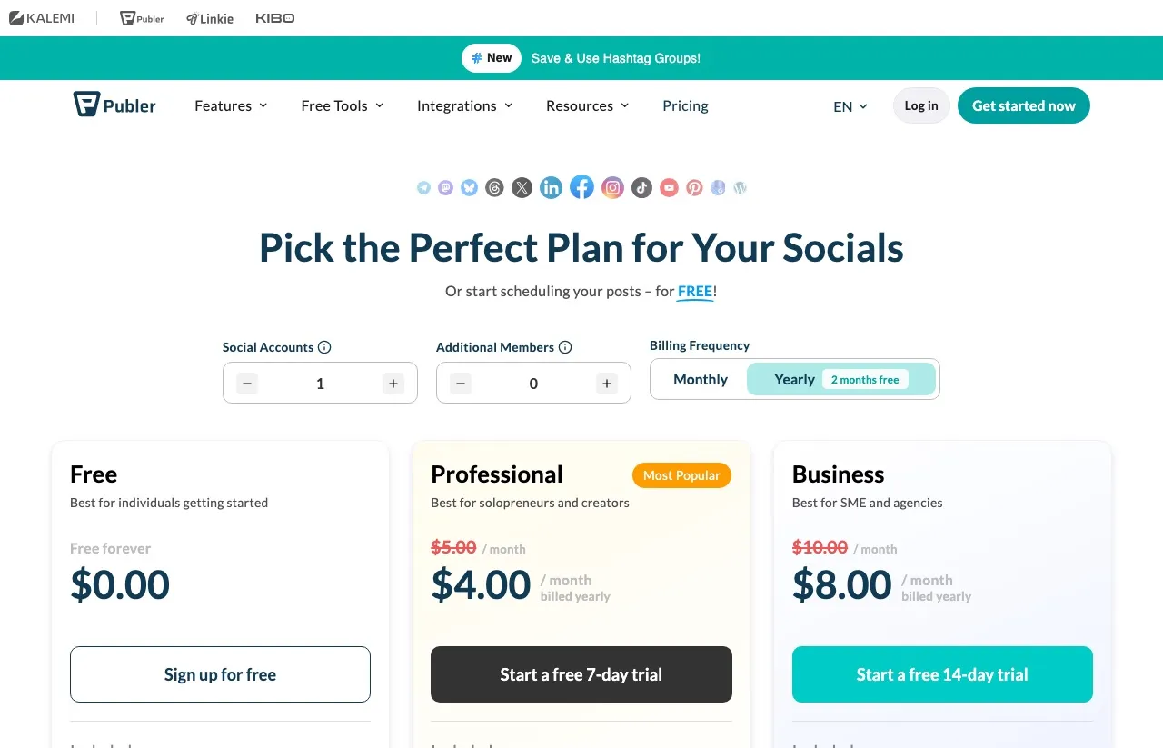 Publer's plans page showing Free at $0.00, Professional at $5.00 a month and Business at $10.00 a month, with API access listed under Business.